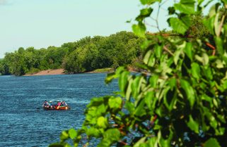 German scholars and artists join River Semester